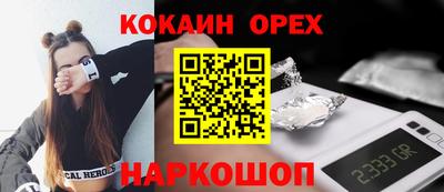 шишки Бердск