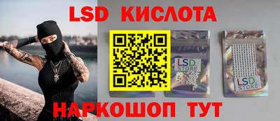 шишки Бердск