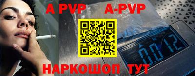 шишки Бердск