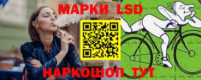 шишки Бердск