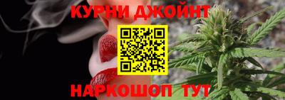 шишки Бердск