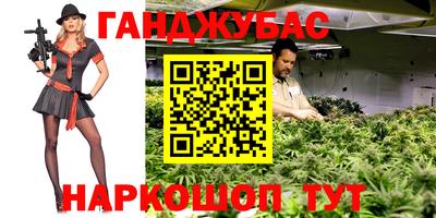 шишки Бердск