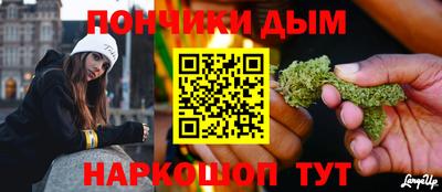 шишки Бердск