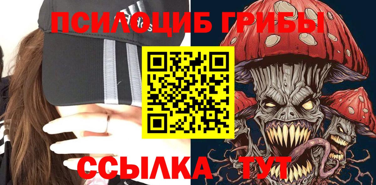 Псилоцибиновые грибы Magic Shrooms Гурьевск